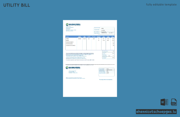 USA Hallsdale-Powell Stromrechnung im Word- und PDF-Format – Beispielvorschau